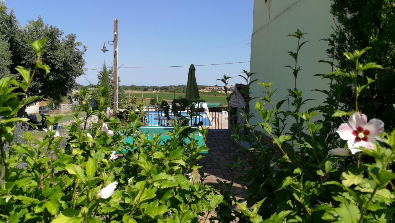 Moratto'S Apartments Umag Exterior foto